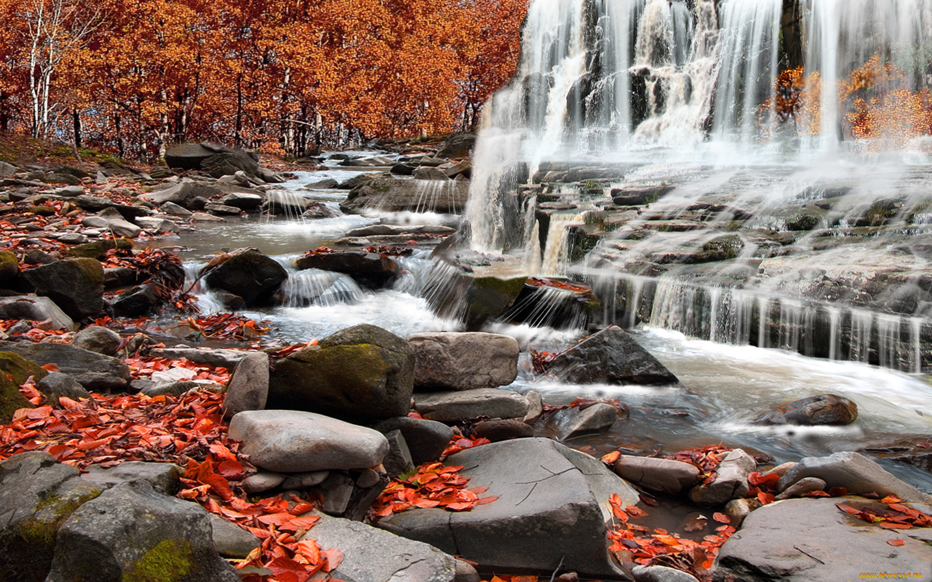 autumn, rapids, , , , , , , 